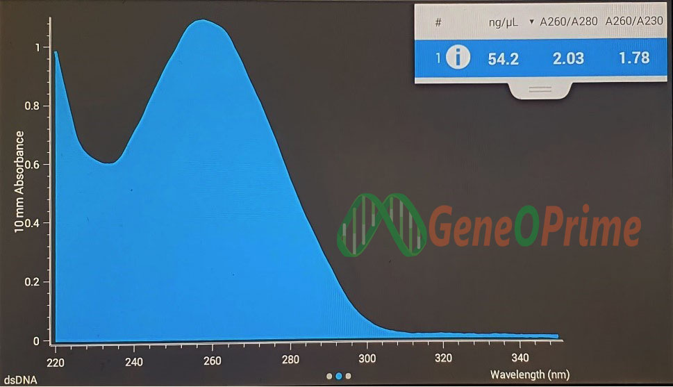 بررسی ماندگاری کیت استخراج DNA از بزاق ژن و پرایم پس از 9 ماه